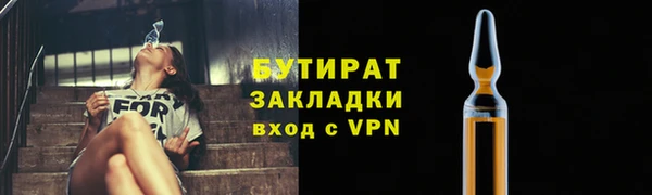 прущие грибы Богданович
