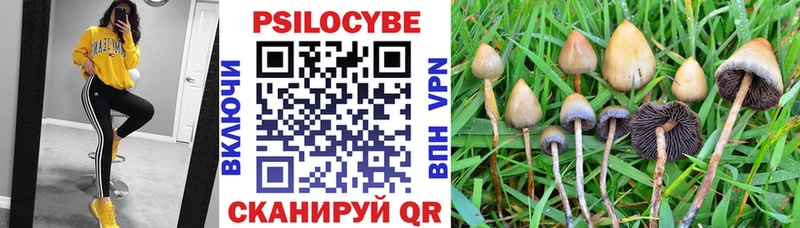 цены   Белорецк  Галлюциногенные грибы прущие грибы 
